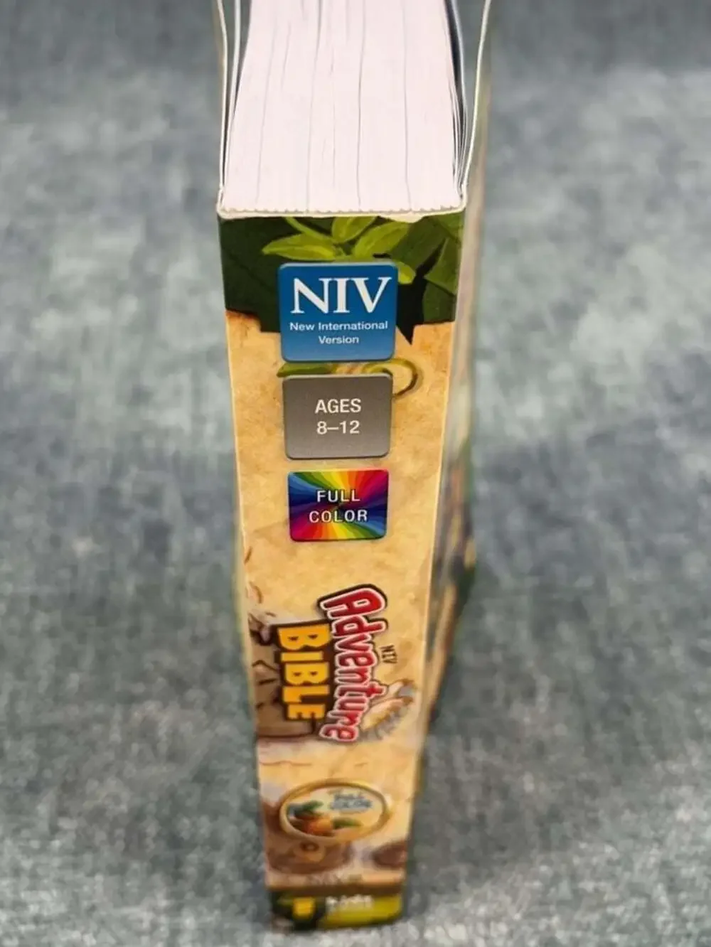 NIV Adventure Bible, Full Color: New International Version (Softcover)